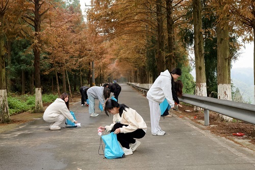 德信竞技平台